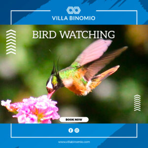 Bird Watching Tour