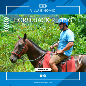 Horseback Riding